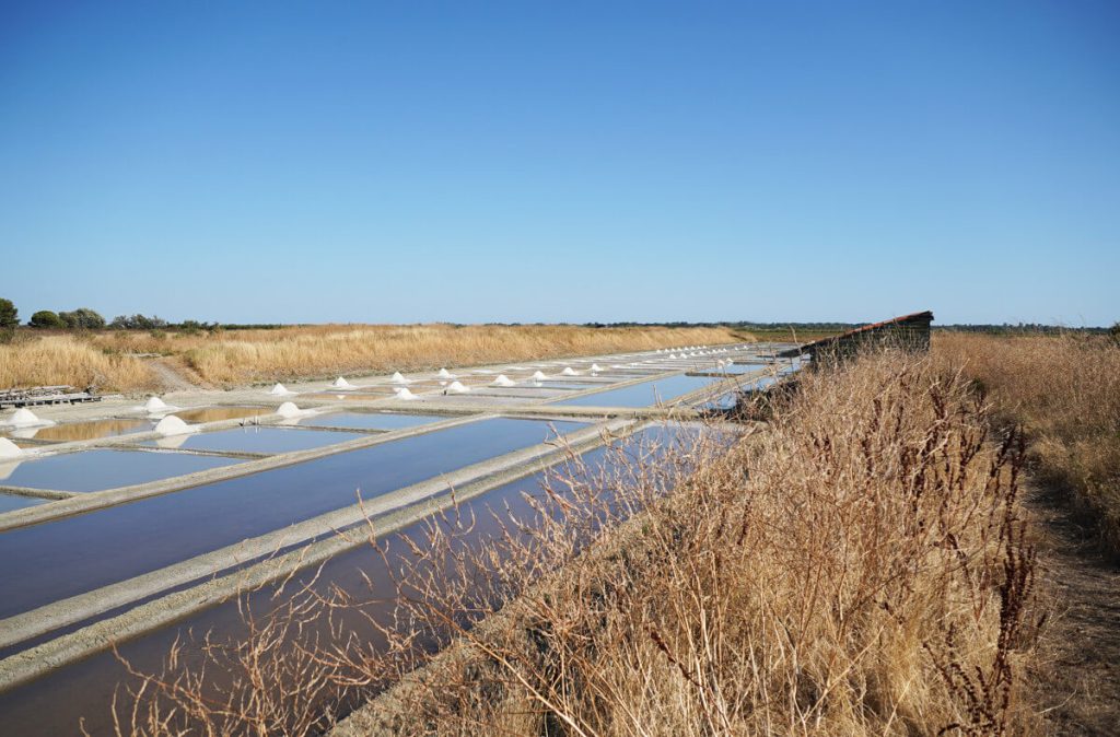 Marais salant de l ile de Re voilier Kelone